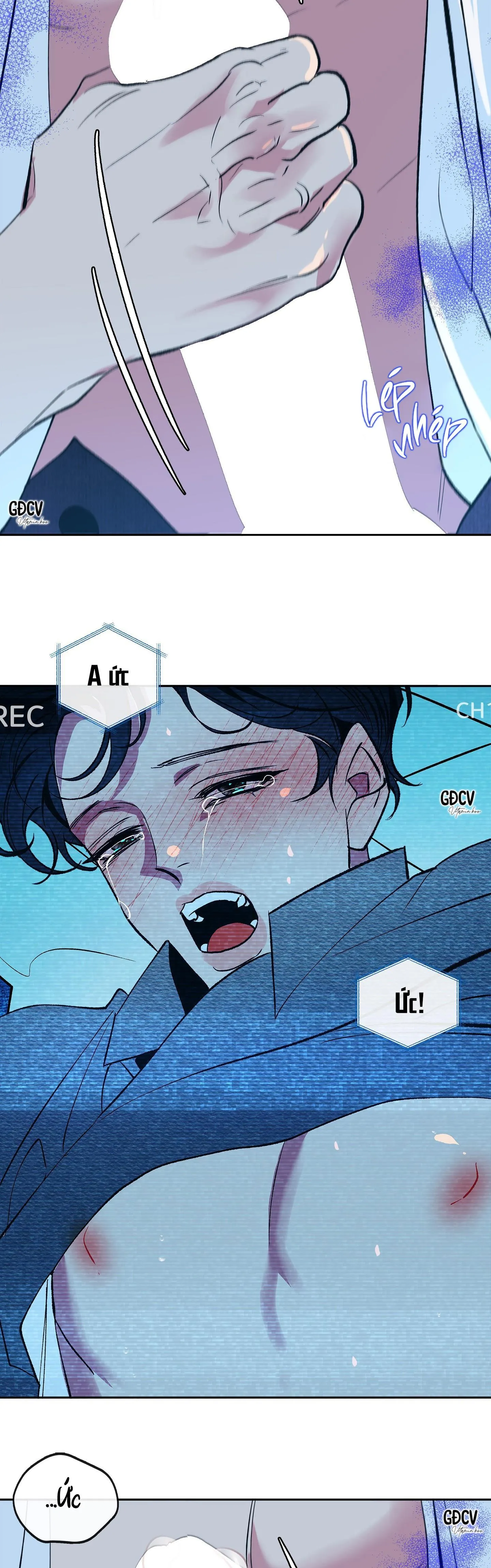 NUÔI DƯỠNG BETA Chapter 2 Trang 32