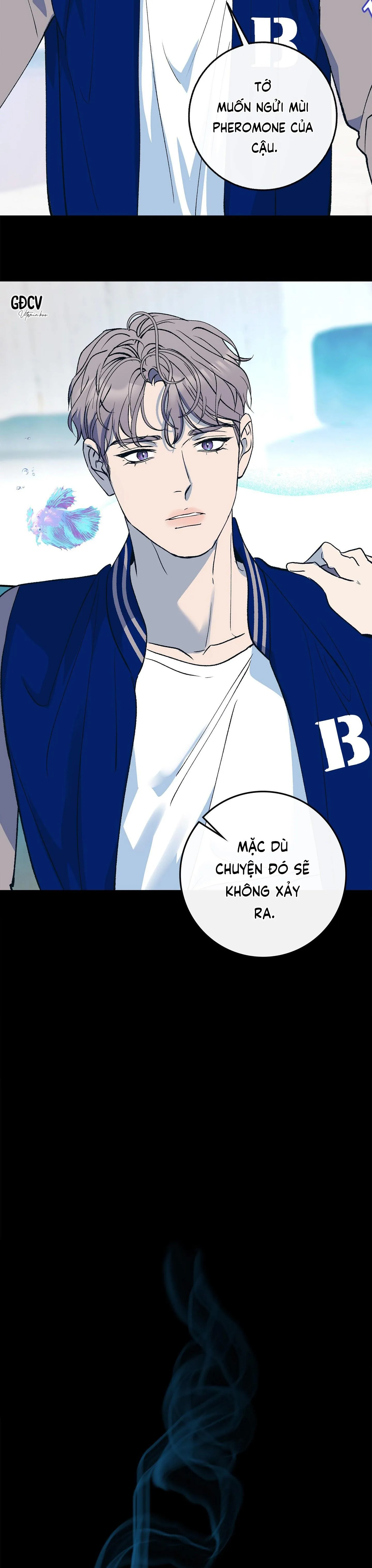 NUÔI DƯỠNG BETA Chapter 10 Trang 21