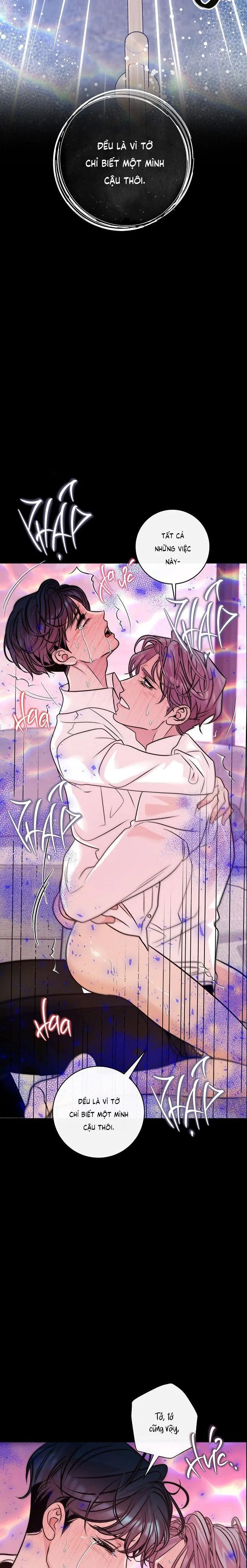 NUÔI DƯỠNG BETA Chapter 15 Trang 11