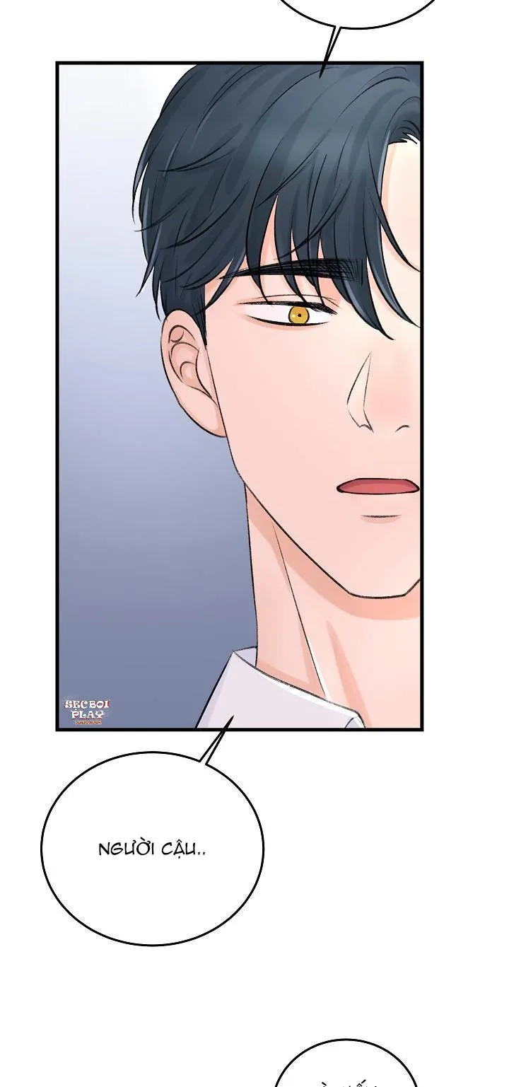 Nuôi dưỡng búp bê Chapter 2 Trang 16