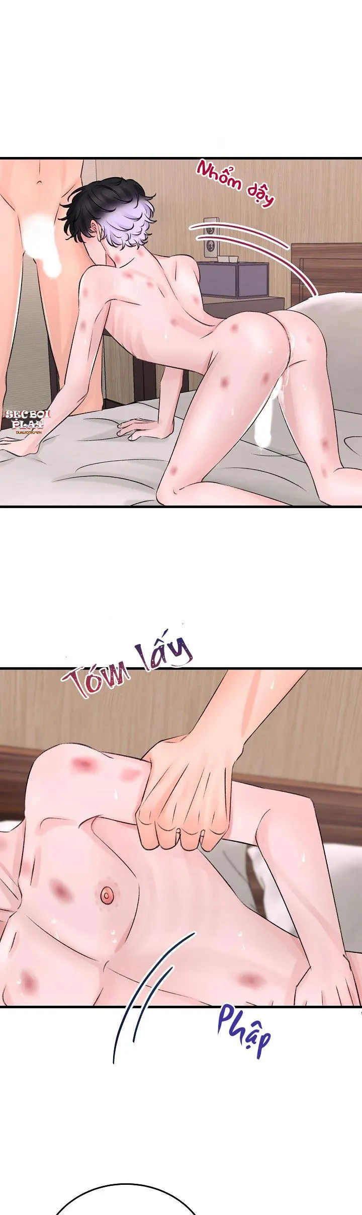 Nuôi dưỡng búp bê Chapter 4 Trang 18