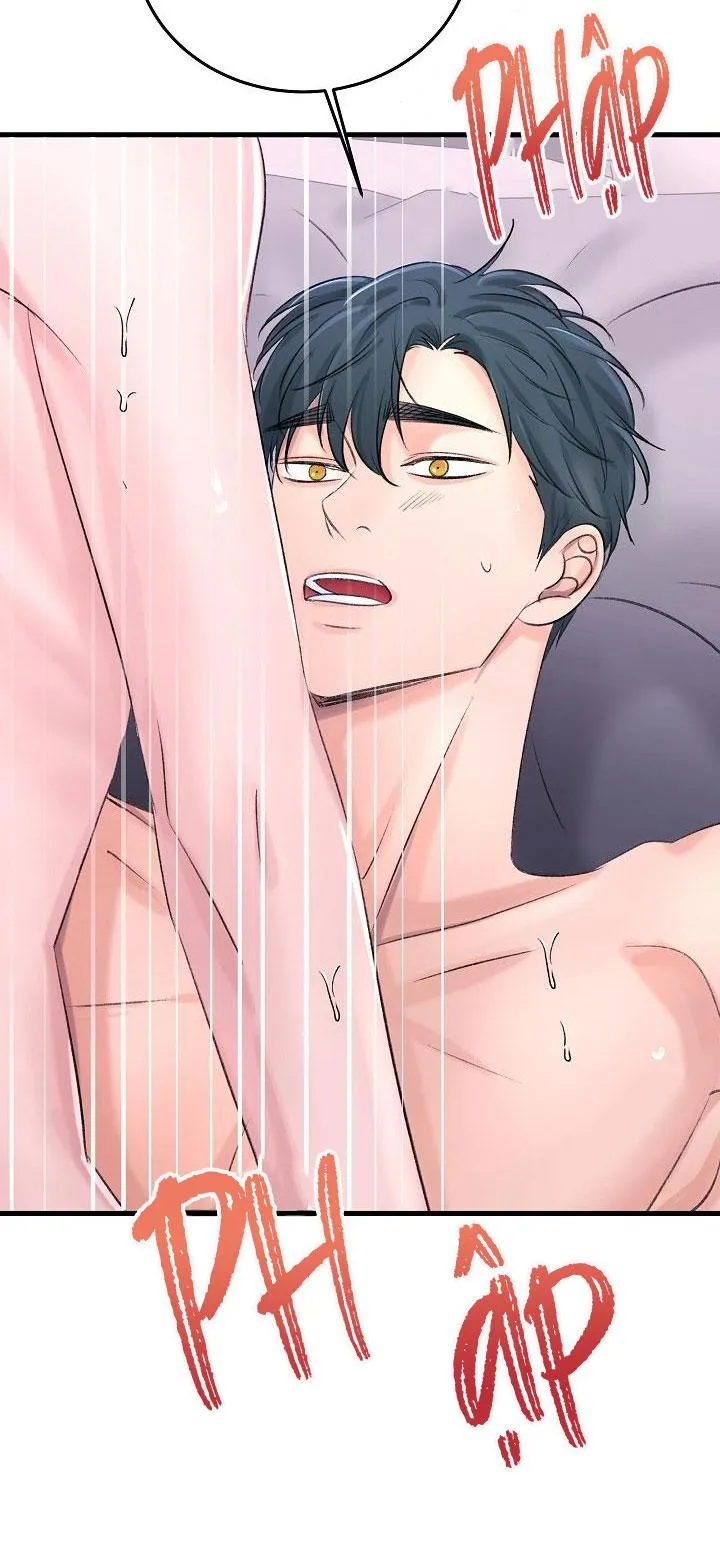 Nuôi dưỡng búp bê Chapter 10 Trang 12