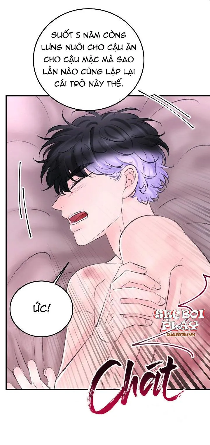 Nuôi dưỡng búp bê Chapter 12 Trang 12