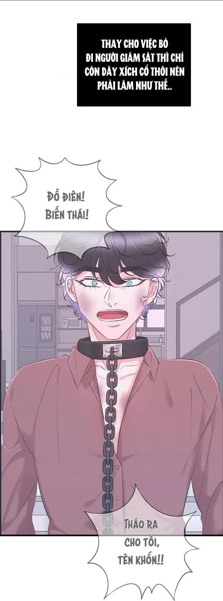 Nuôi dưỡng búp bê Chapter 16 Trang 48