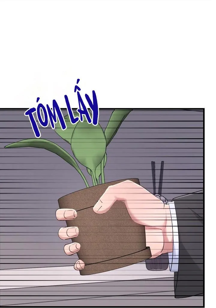 Nuôi dưỡng búp bê Chapter 17 Trang 33