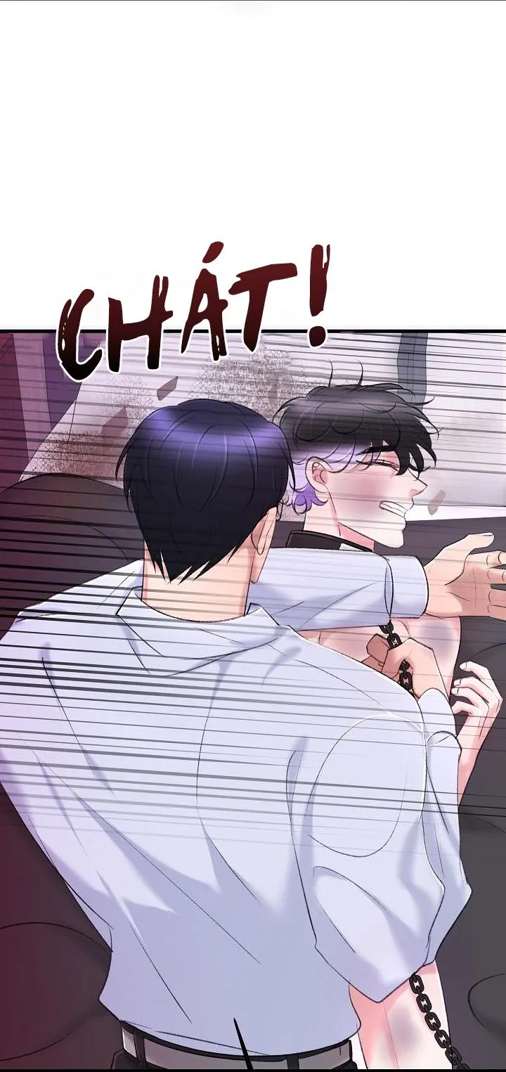 Nuôi dưỡng búp bê Chapter 17 Trang 47