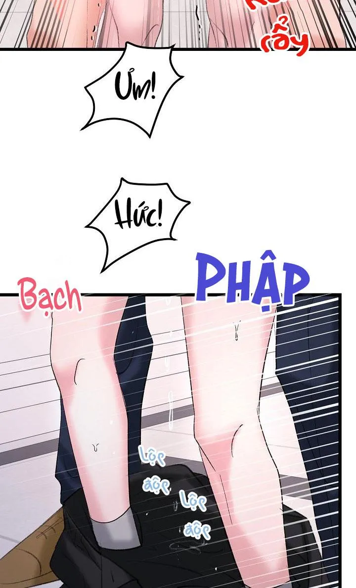 Nuôi dưỡng búp bê Chapter 26 Trang 56