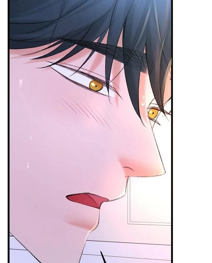 Nuôi dưỡng búp bê Chapter 27 Trang 14