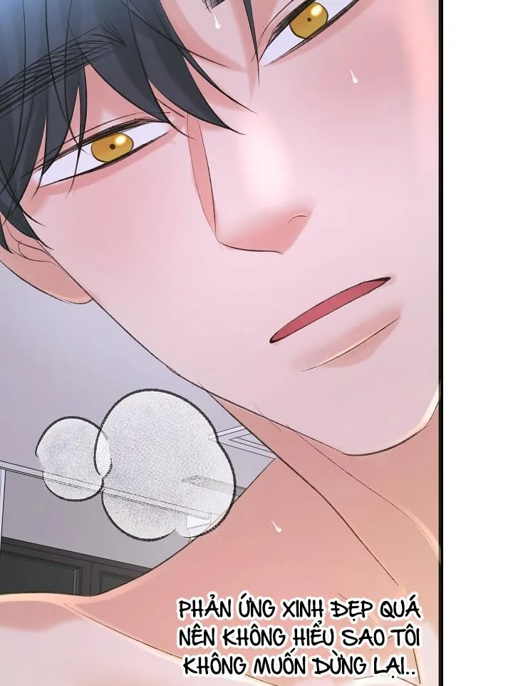 Nuôi dưỡng búp bê Chapter 27 Trang 71