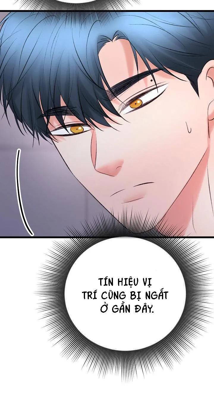 Nuôi dưỡng búp bê Chapter 31 Trang 3