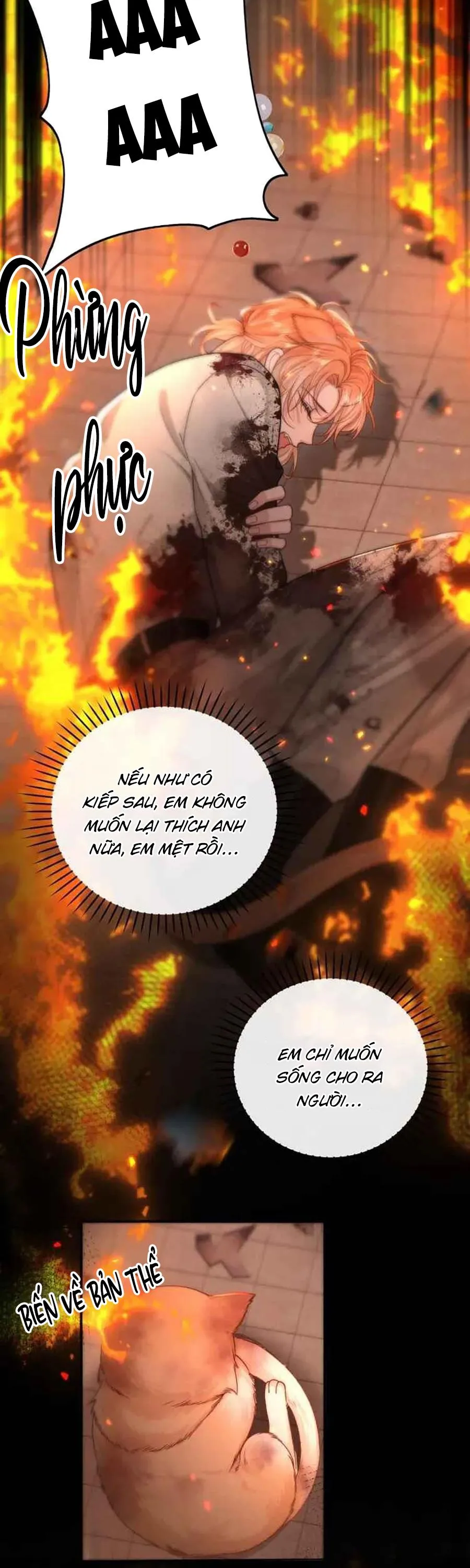 Nuông Chiều Sinh Hư Chapter 5 Trang 13