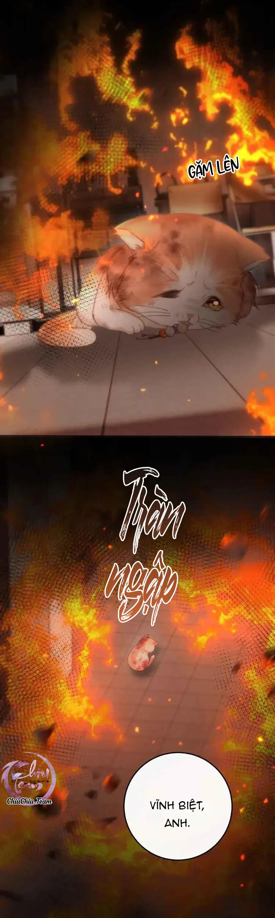 Nuông Chiều Sinh Hư Chapter 5 Trang 14