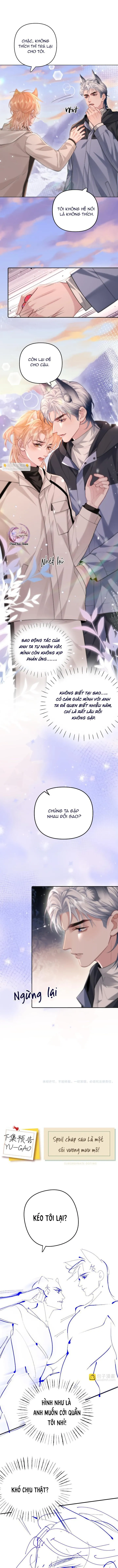 Nuông Chiều Sinh Hư Chapter 7 Trang 8