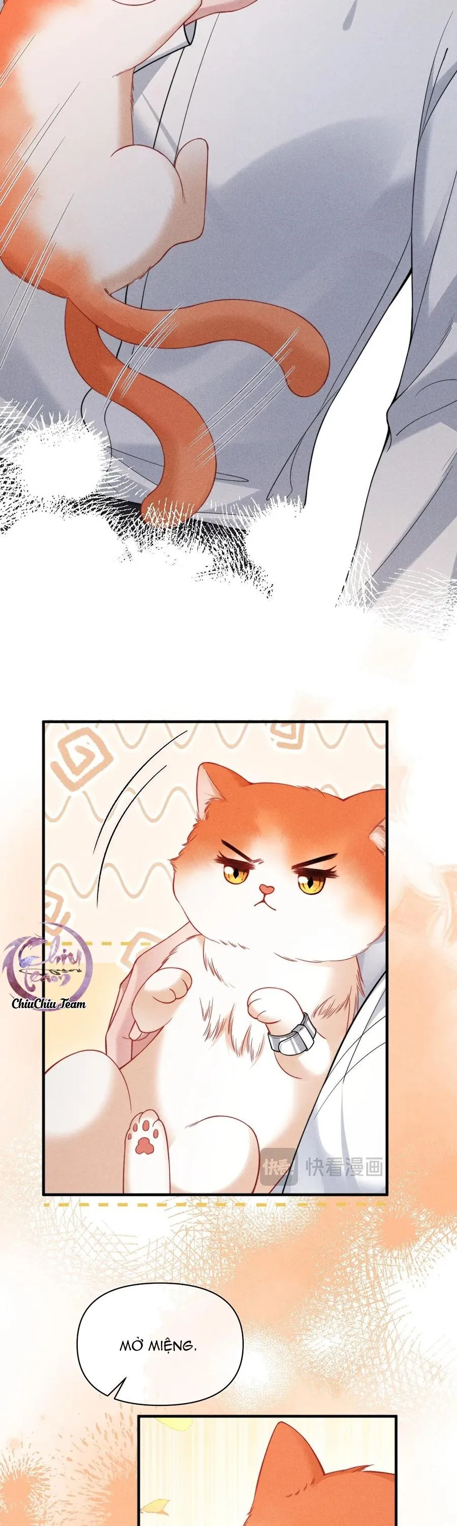 Nuông Chiều Sinh Hư Chapter 40 Trang 11