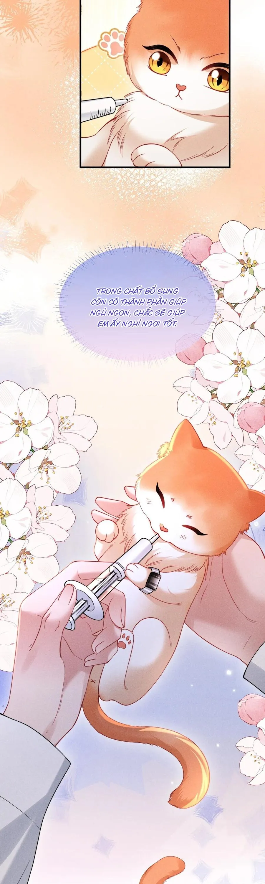 Nuông Chiều Sinh Hư Chapter 40 Trang 12