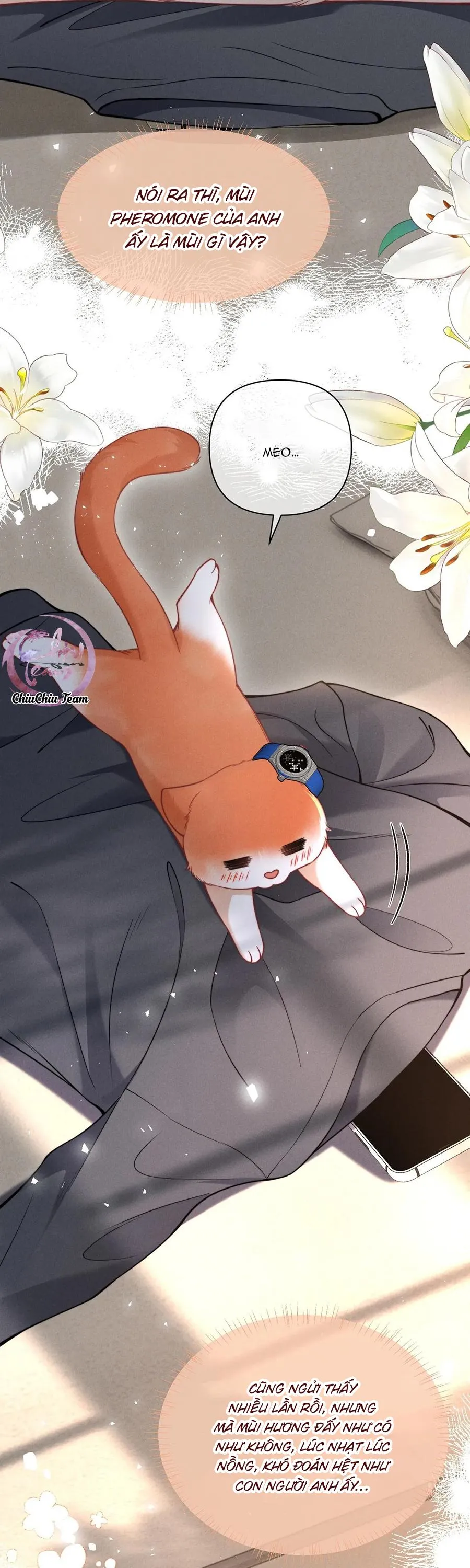 Nuông Chiều Sinh Hư Chapter 43 Trang 13