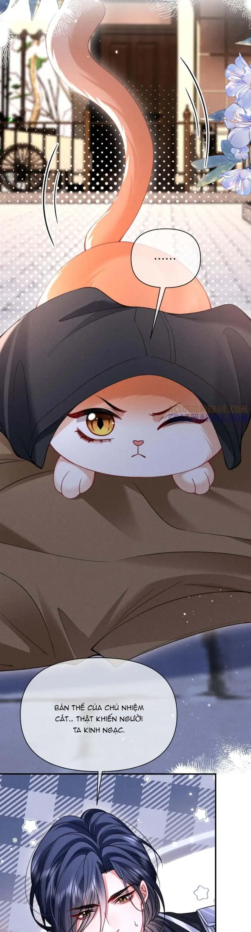 Nuông Chiều Sinh Hư Chapter 52 Trang 10