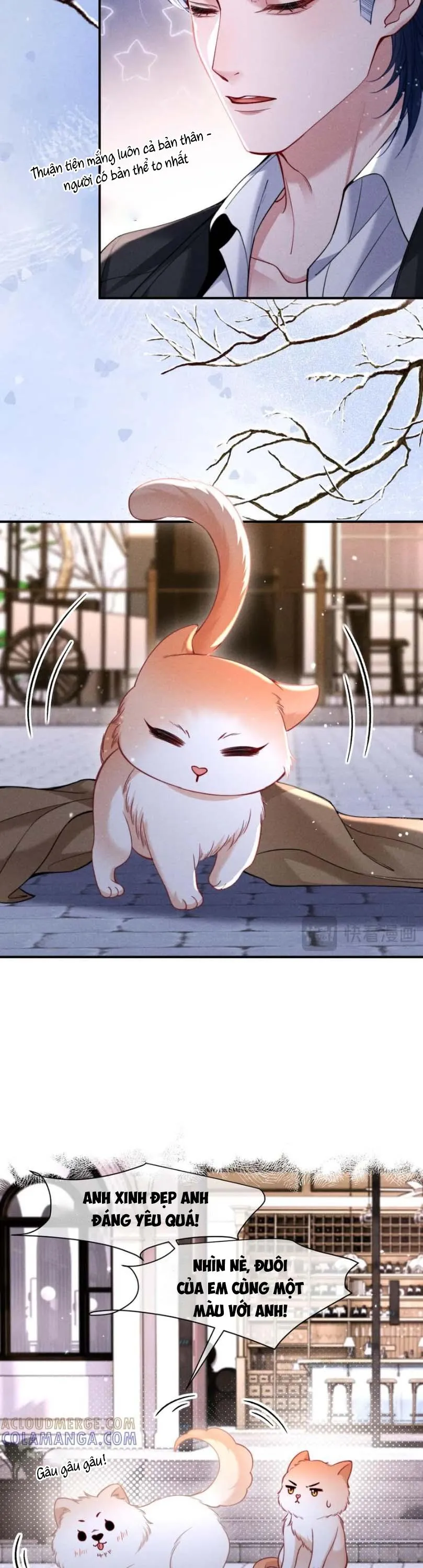 Nuông Chiều Sinh Hư Chapter 52 Trang 12