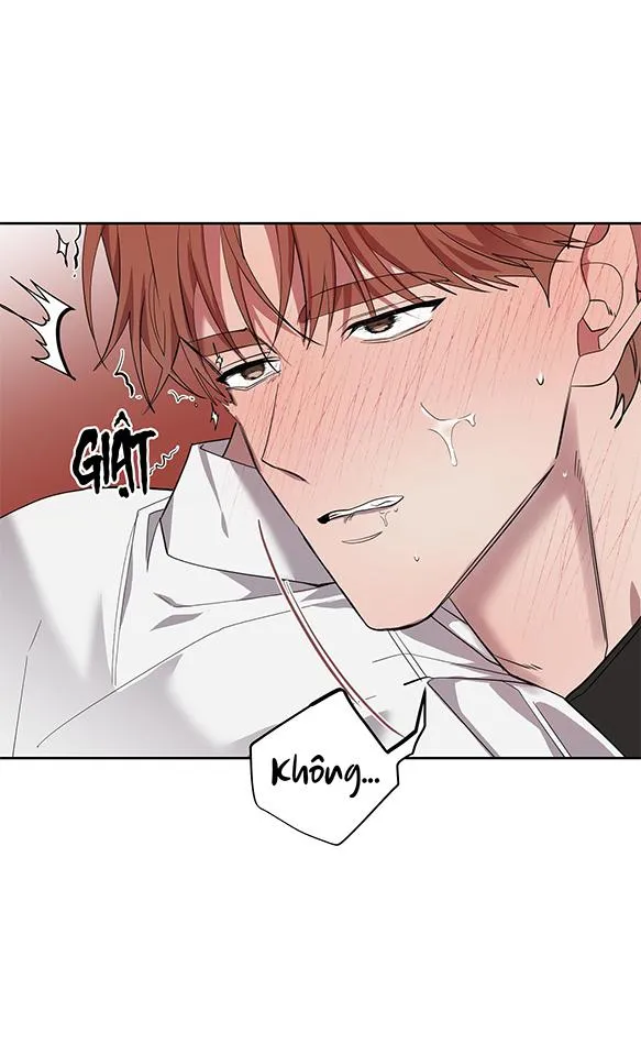 NUỐT CHỬNG BÓNG ĐÊM Chapter 23 Trang 21