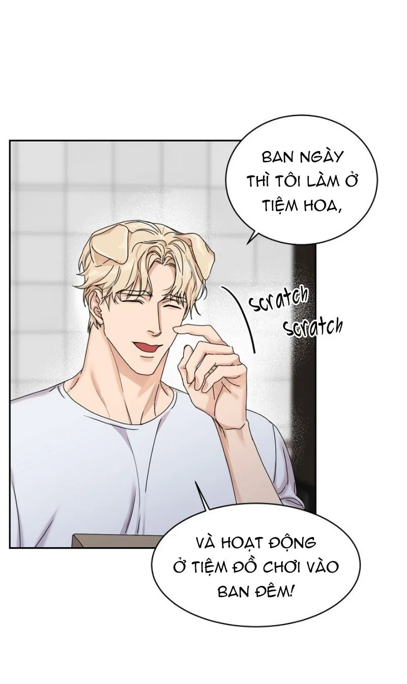 Ở ĐÂY TÔI CÓ NHÂN THÚ HỎN LỌN Chapter 6 Trang 12