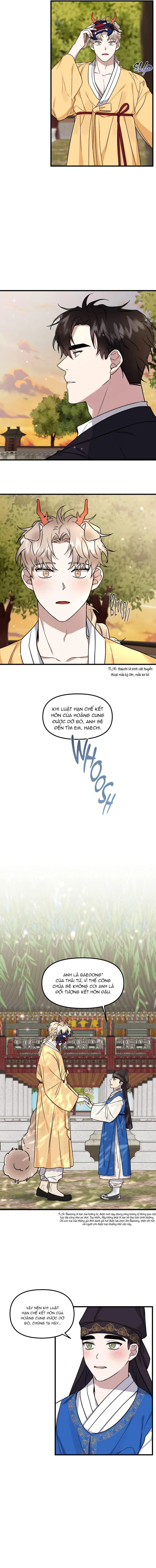 Ở ĐÂY TÔI CÓ NHÂN THÚ HỎN LỌN Chapter 12 Trang 3