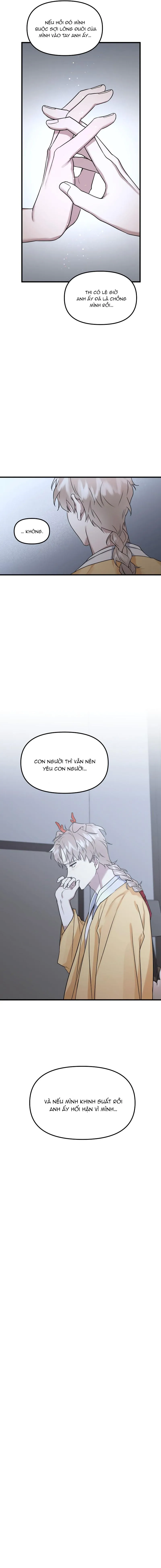 Ở ĐÂY TÔI CÓ NHÂN THÚ HỎN LỌN Chapter 14 Trang 11