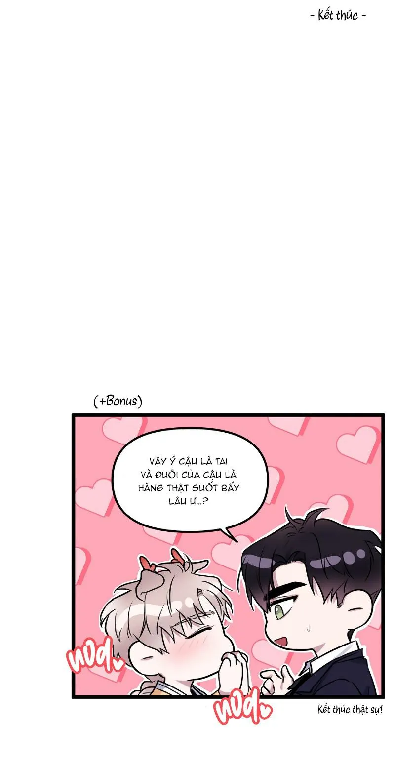 Ở ĐÂY TÔI CÓ NHÂN THÚ HỎN LỌN Chapter 14 Trang 17