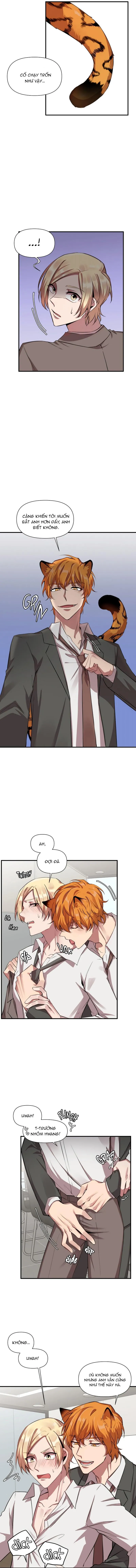 Ở ĐÂY TÔI CÓ NHÂN THÚ HỎN LỌN Chapter 16 Trang 11