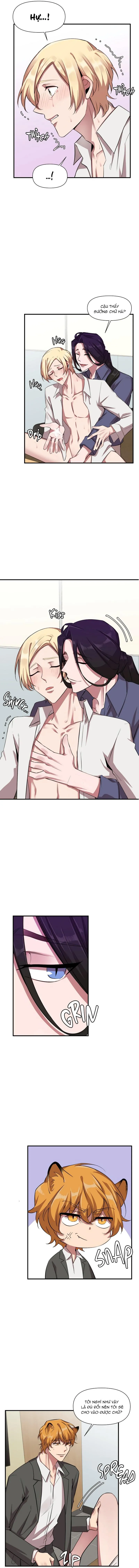 Ở ĐÂY TÔI CÓ NHÂN THÚ HỎN LỌN Chapter 17 Trang 5