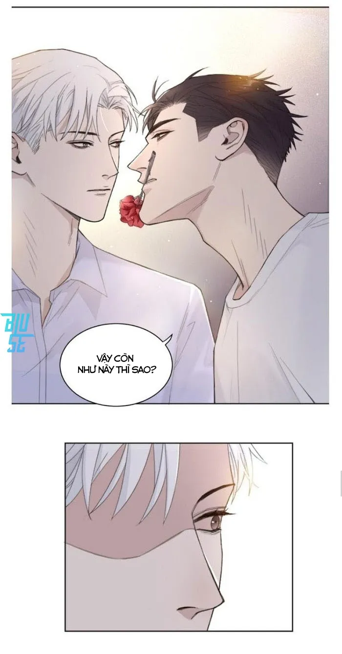 Ở Trong Bóng Tối Chapter 22 Trang 11