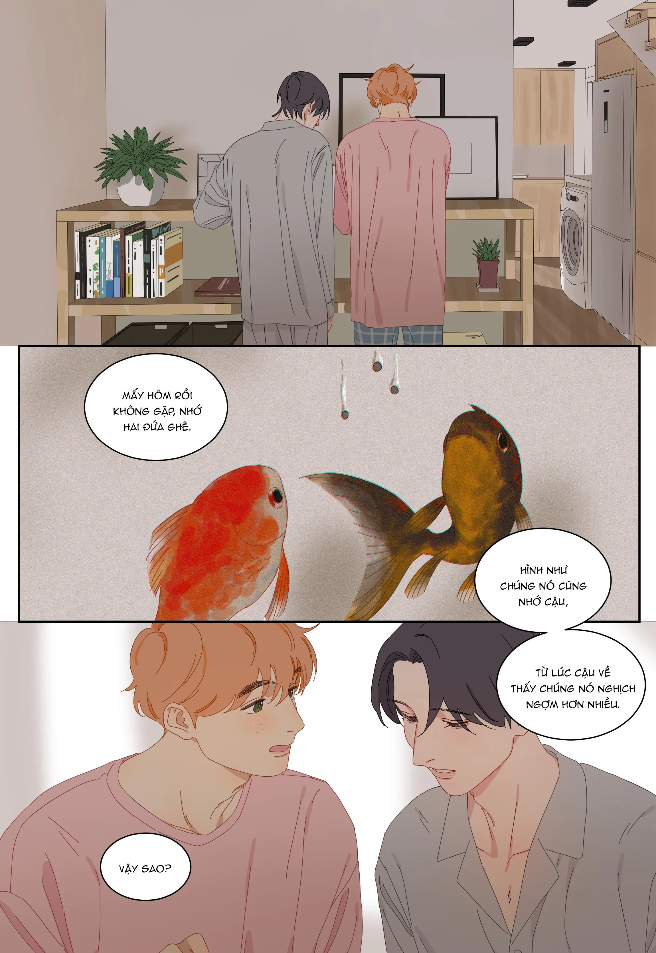 Ốc bươu tiên sinh Chapter 66 Trang 3