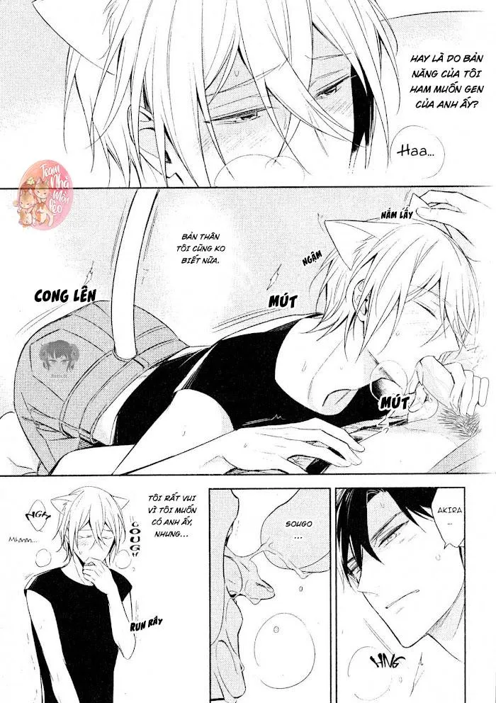 Ôm Em Đi Chapter 2 Trang 12