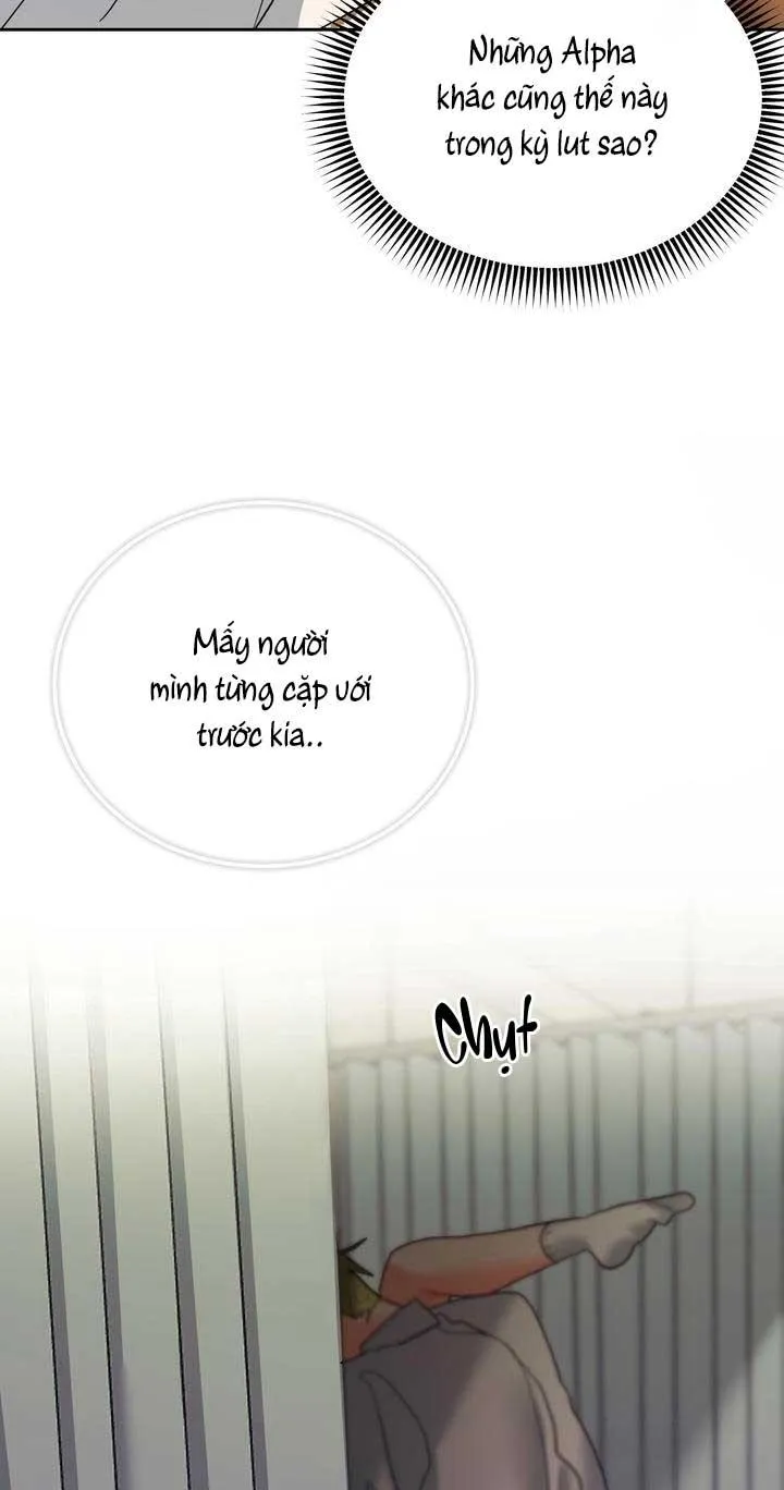 OMEGA CỦA ANH DOYUN Chapter 11 Trang 19