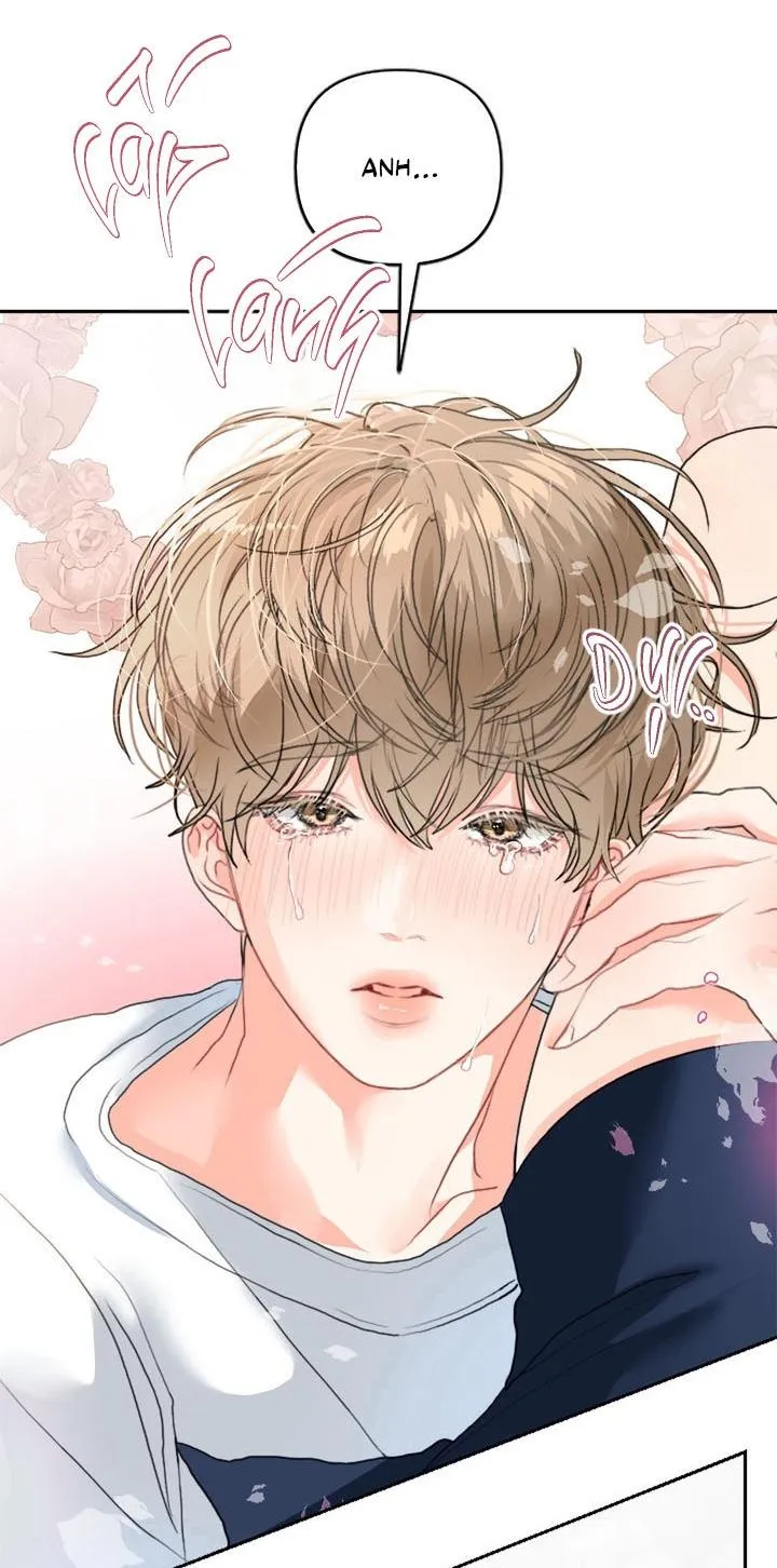 Omega Của Anh Chapter 1 Trang 19