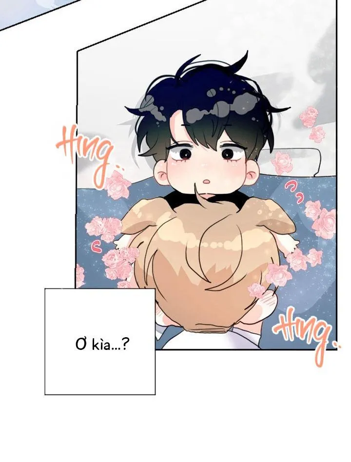 Omega Của Anh Chapter 1 Trang 20