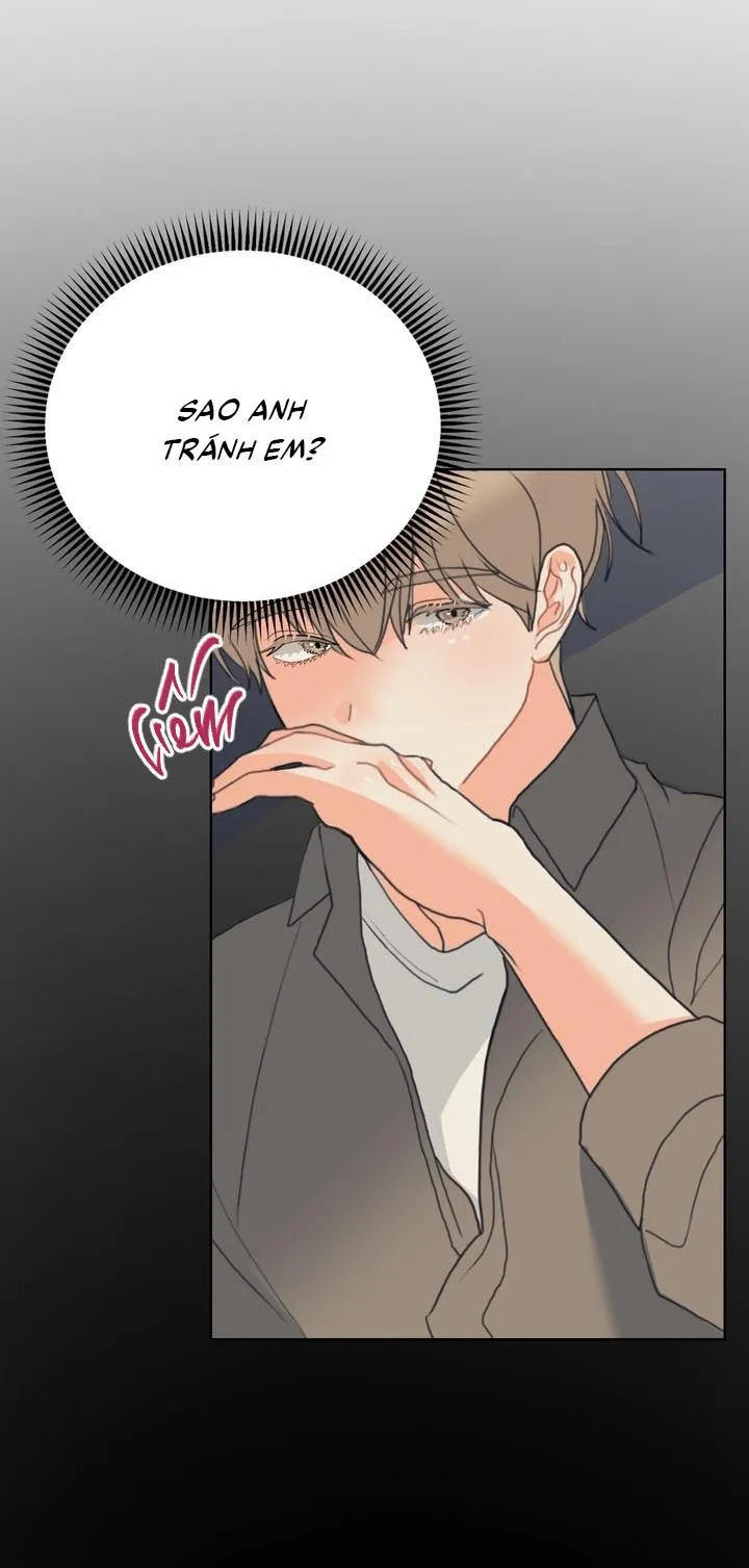 Omega Của Anh Chapter 2 Trang 11