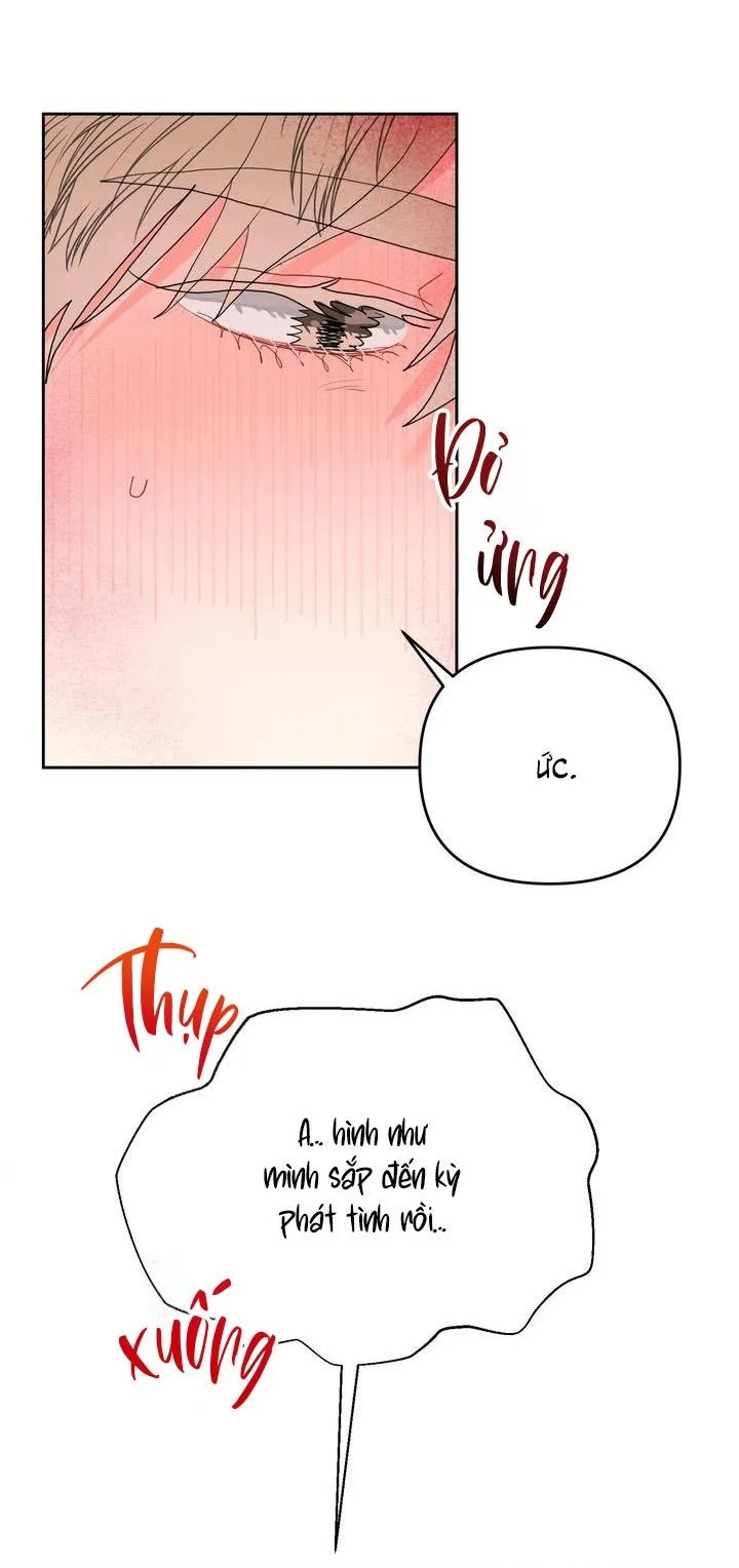 Omega Của Anh Chapter 10 Trang 6