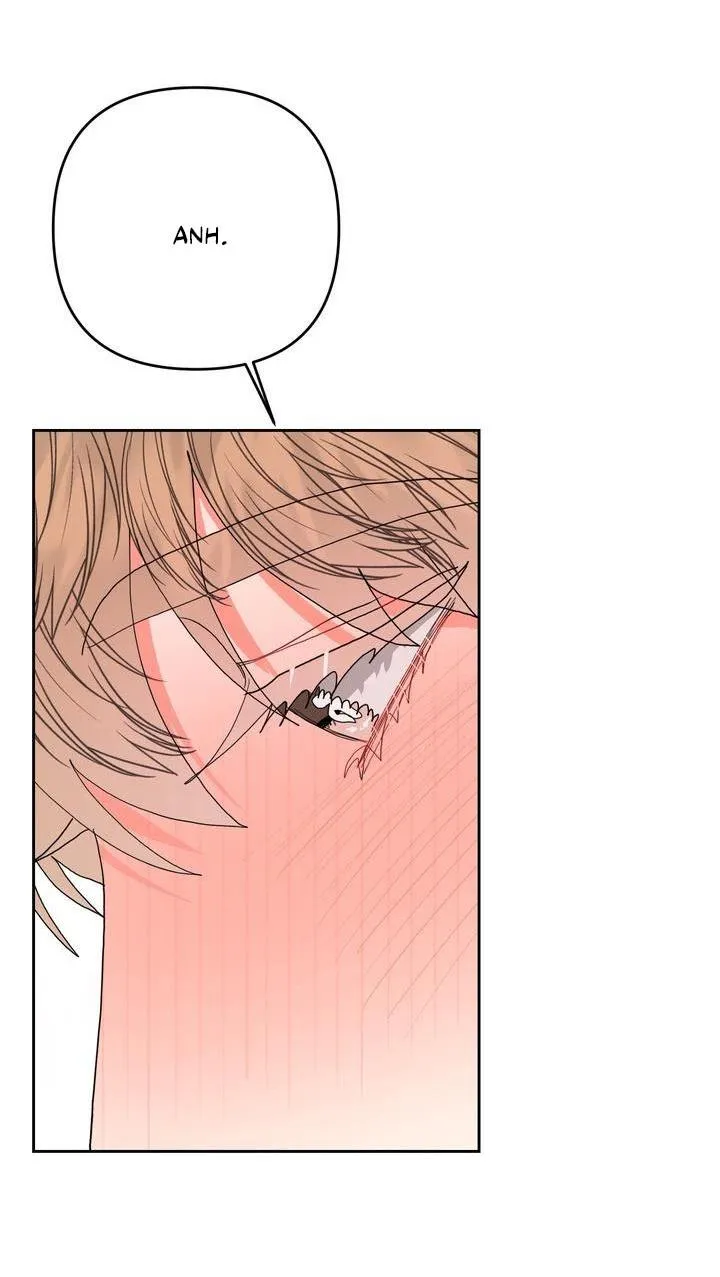 Omega Của Anh Chapter 10 Trang 16