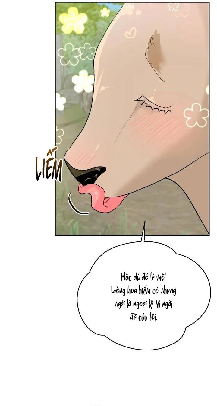 Omega Của Anh Chapter 17 Trang 43