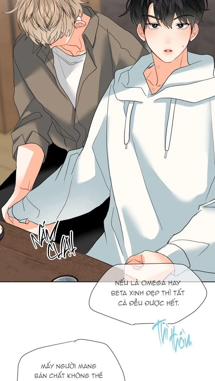 (ABO) OMEGA CỦA ANH TRAI Chapter 3 Trang 11