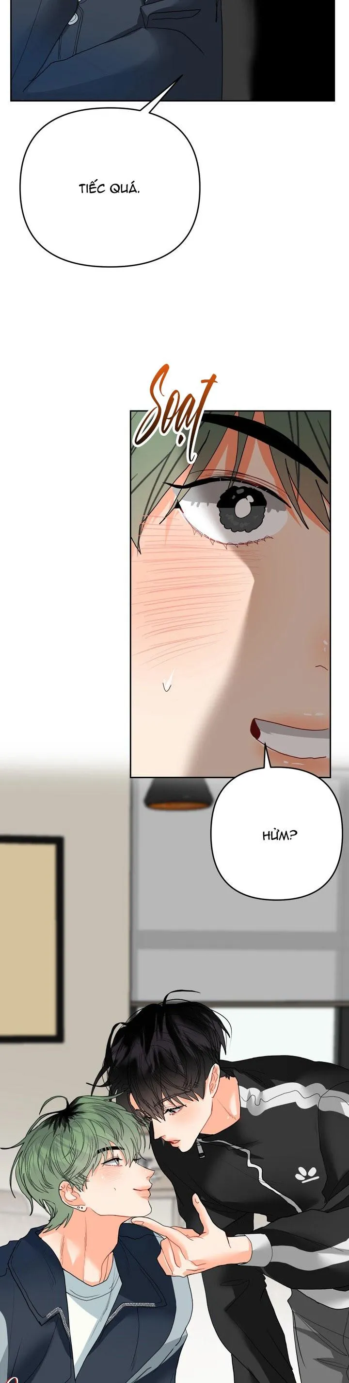 (ABO) OMEGA CỦA ANH TRAI Chapter 7 Trang 33