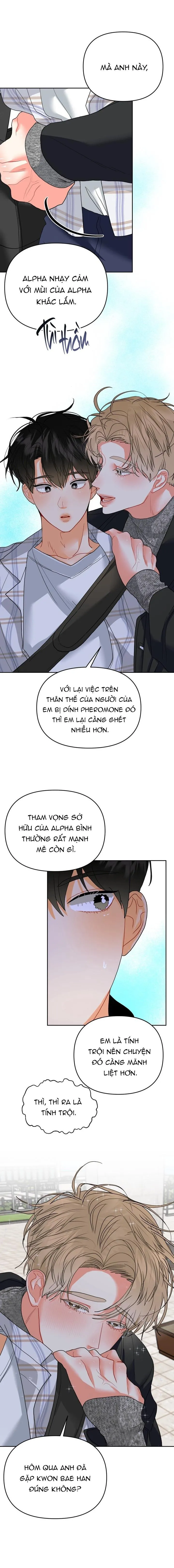 (ABO) OMEGA CỦA ANH TRAI Chapter 9 Trang 8