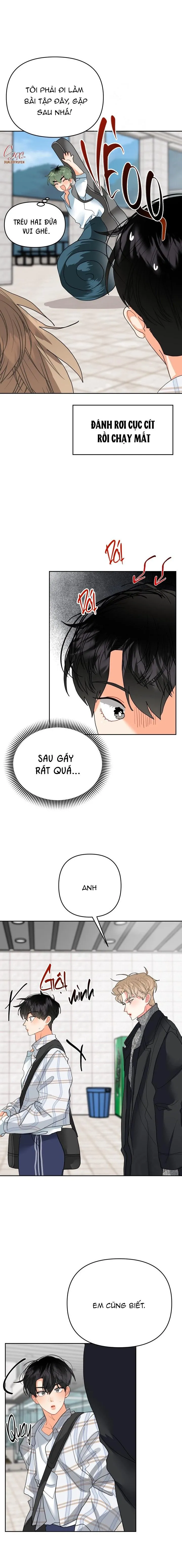 (ABO) OMEGA CỦA ANH TRAI Chapter 9 Trang 14