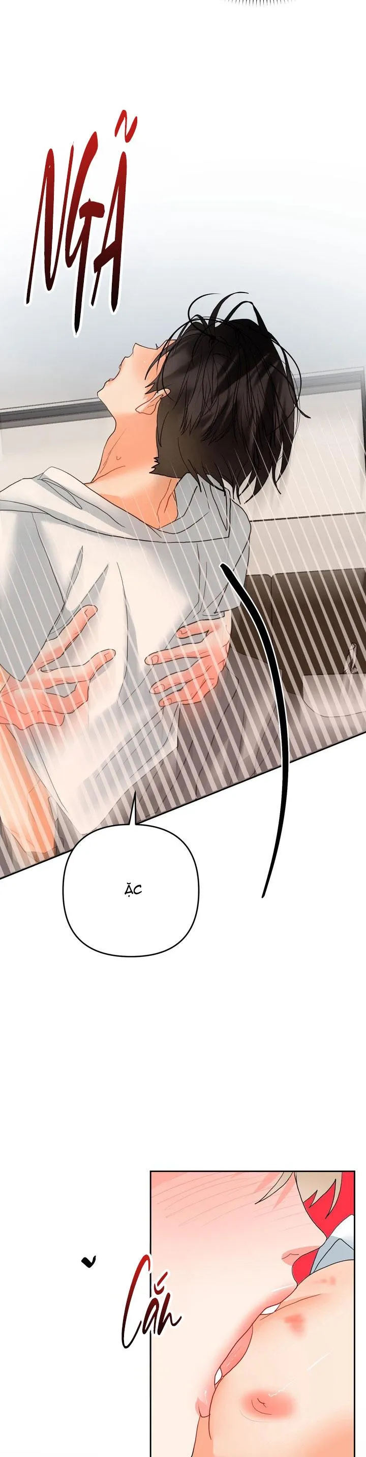 (ABO) OMEGA CỦA ANH TRAI Chapter 11 Trang 5