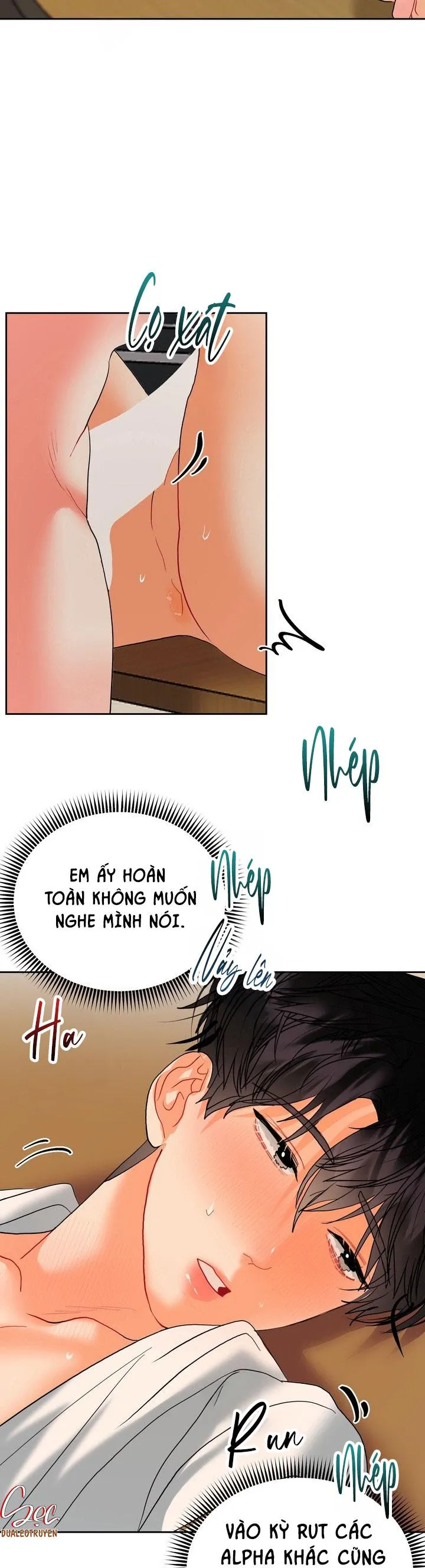 (ABO) OMEGA CỦA ANH TRAI Chapter 11 Trang 13