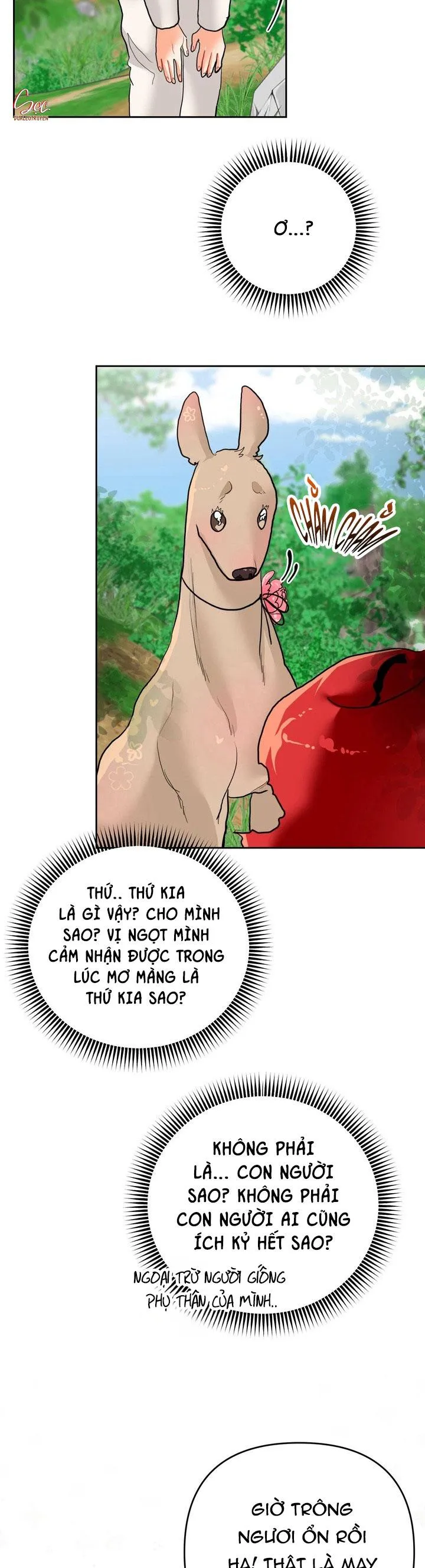 (ABO) OMEGA CỦA ANH TRAI Chapter 17 Trang 11