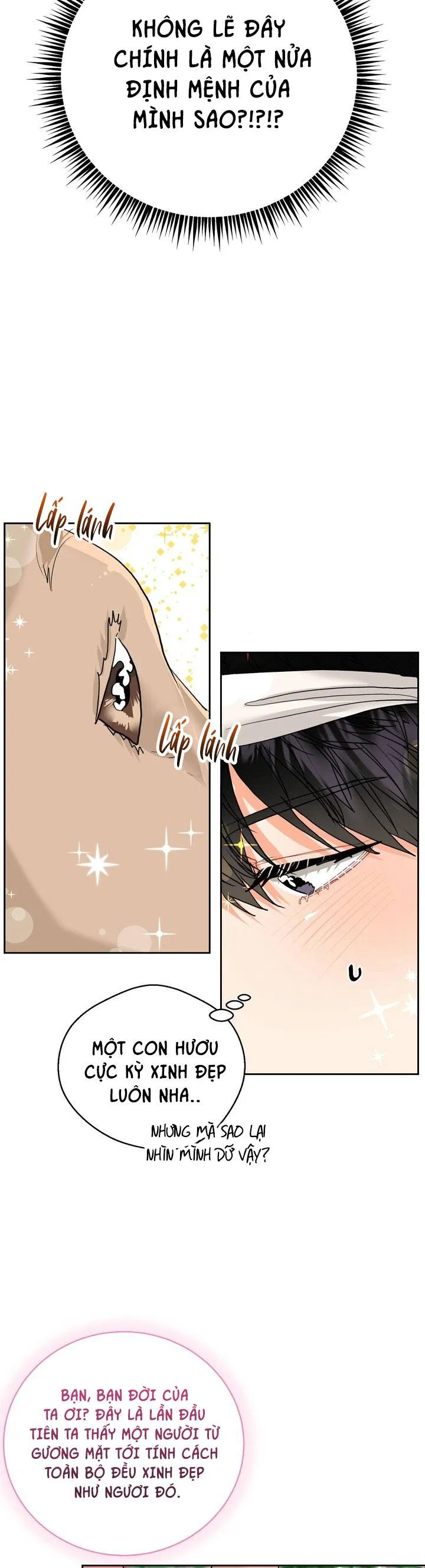 (ABO) OMEGA CỦA ANH TRAI Chapter 17 Trang 13