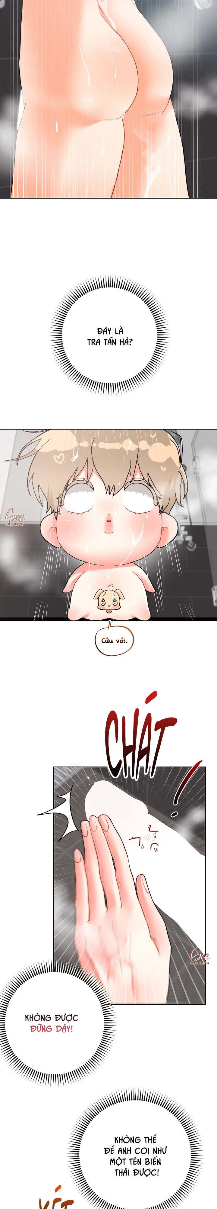 (ABO) OMEGA CỦA ANH TRAI Chapter 31 Trang 5