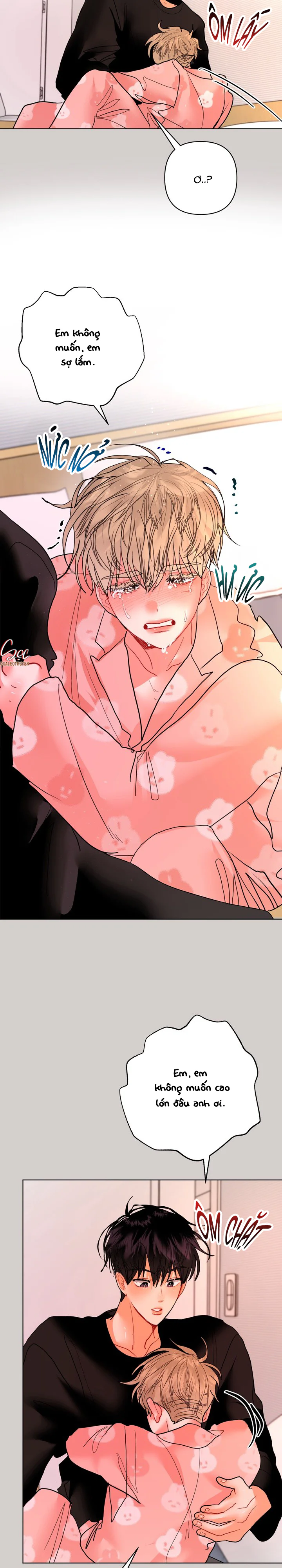 (ABO) OMEGA CỦA ANH TRAI Chapter 33 Trang 5