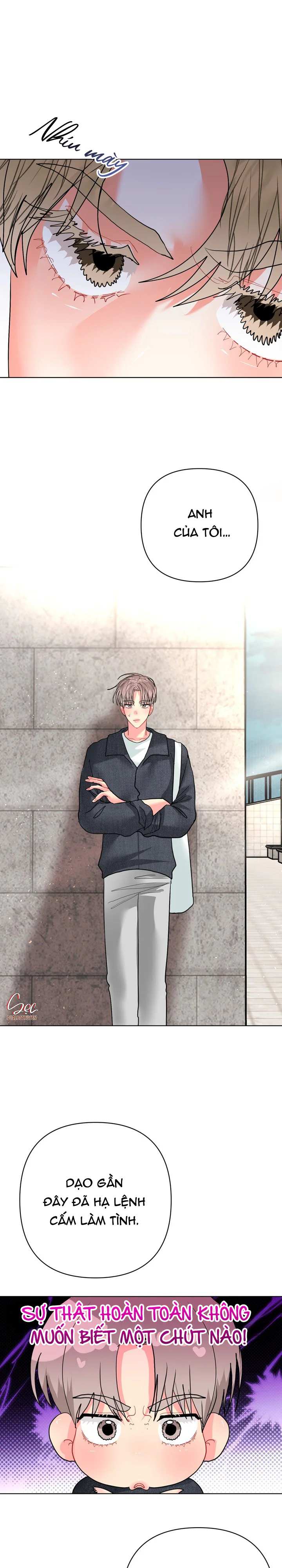 (ABO) OMEGA CỦA ANH TRAI Chapter 34 Trang 15